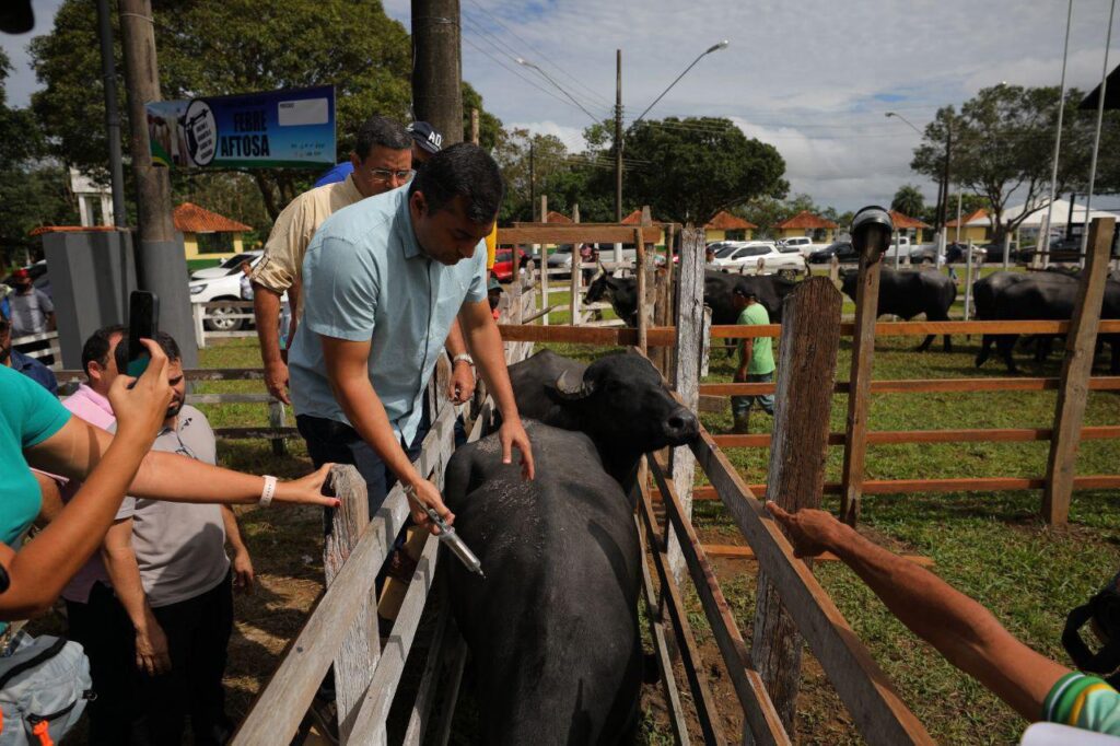 Governo Federal atende pleito de Wilson Lima e confirma Amazonas como livre de febre aftosa sem vacinação