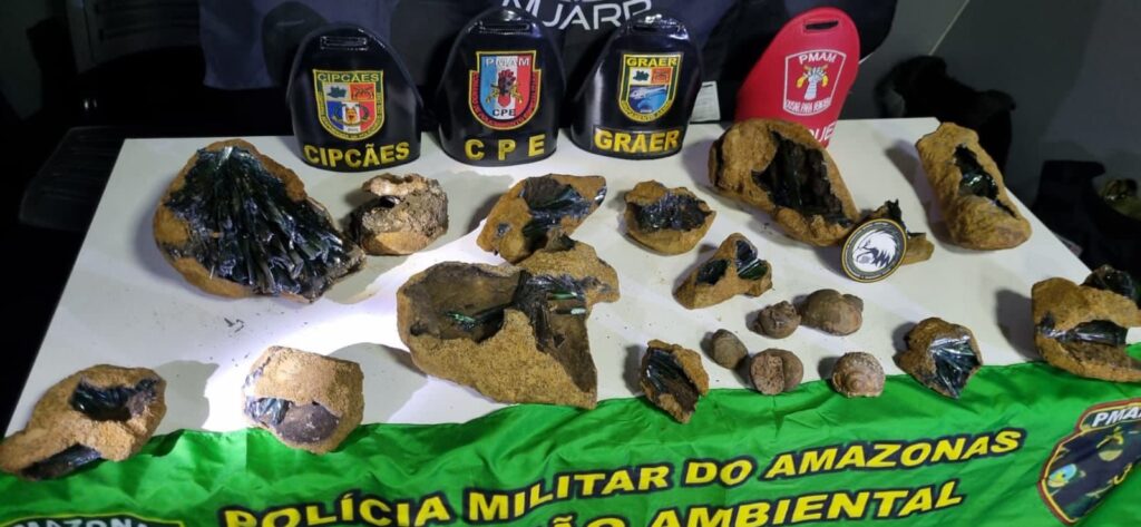 Base Arpão 2: PMAM apreende cerca de 20 kg de Vivianita em embarcação em Barcelos