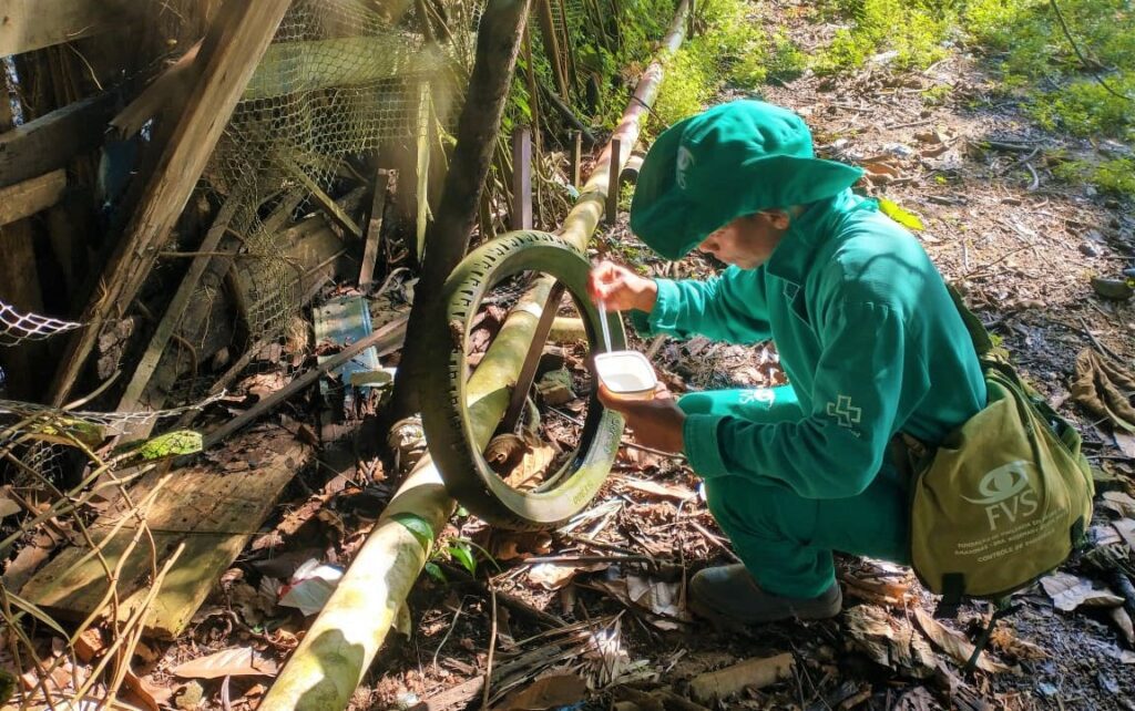 Saúde divulga informe epidemiológico de arboviroses no Amazonas