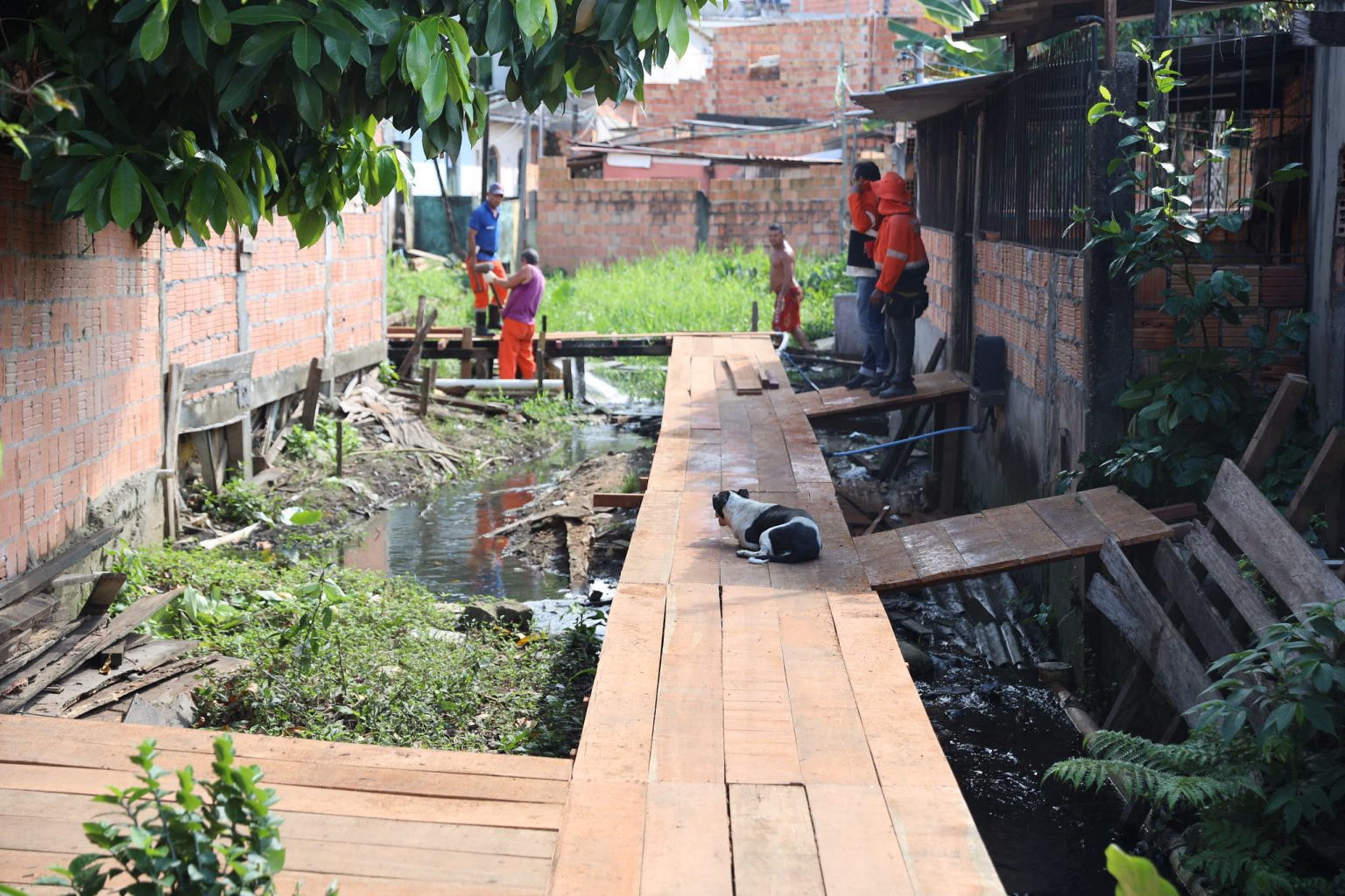 Prefeitura de Manaus constrói ponte de madeira para moradores do Nova Esperança