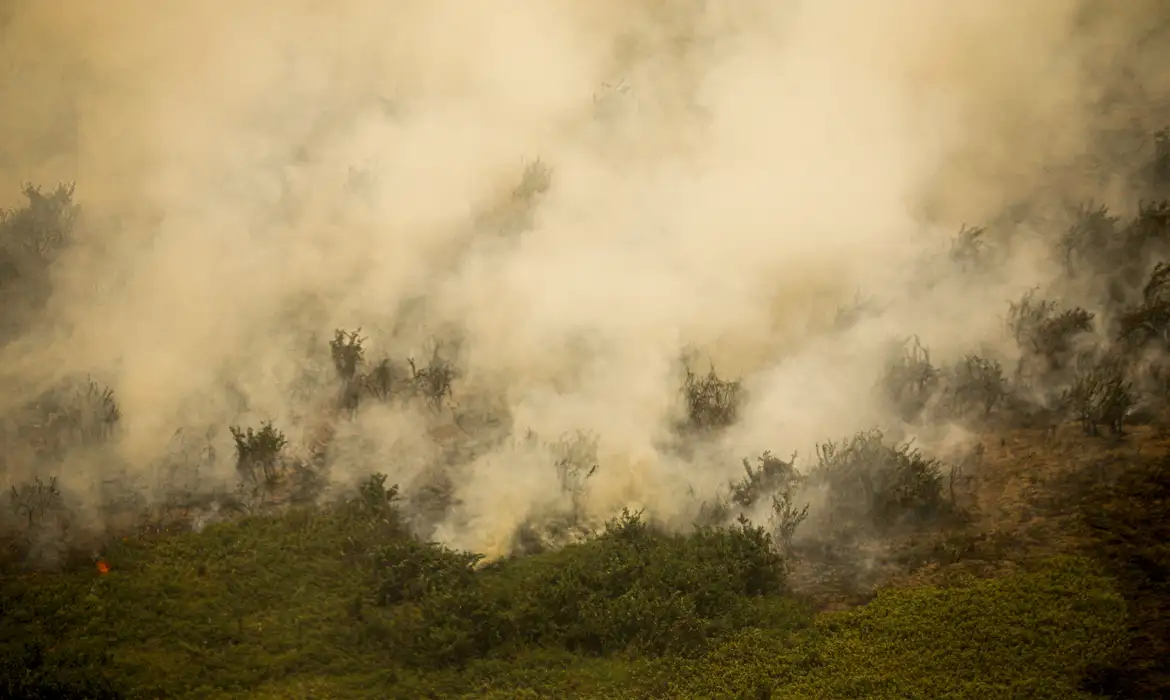 Governo vai liberar R$ 100 mi para combate a incêndios no Pantanal