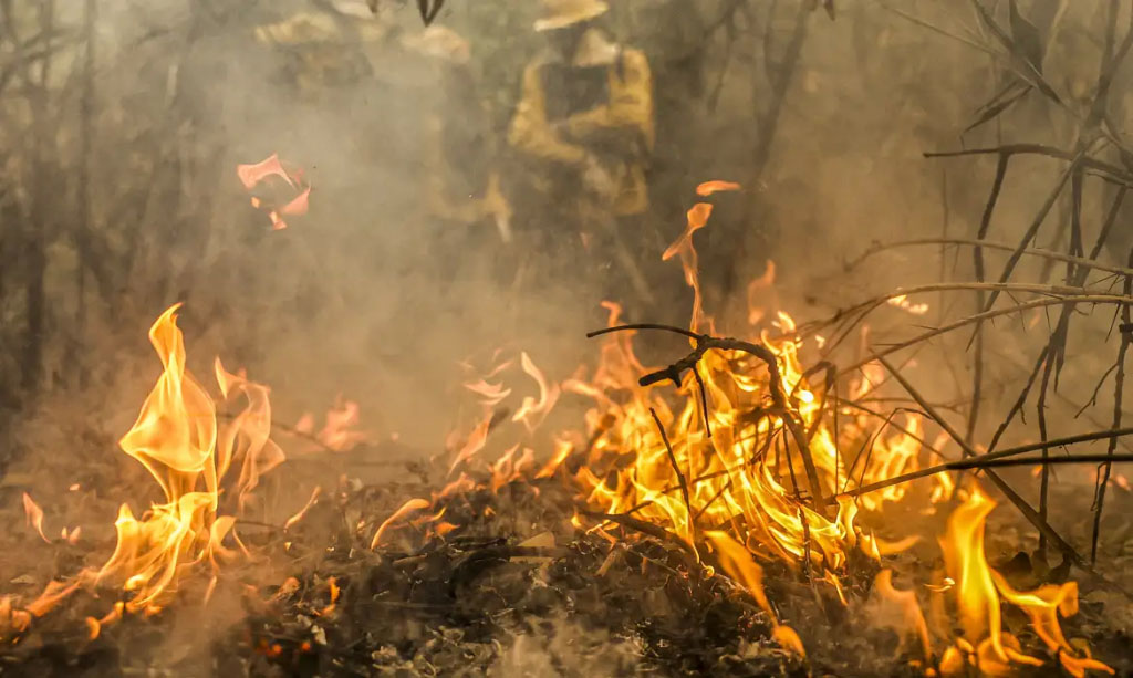 Combate a incêndios pode ser feito por pilotos e aviões estrangeiros